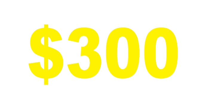 300-removebg-preview